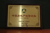B1、中國房地產(chǎn)誠信企業(yè)2005—2006年